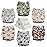 Mama Koala 3.0 Cloth Diapers for Babies with AWJ Lining, 6 Pack with 6 Natural Cloth Diaper Inserts - Reusable and Washable Pocket Diapers (Animals in The Forest)