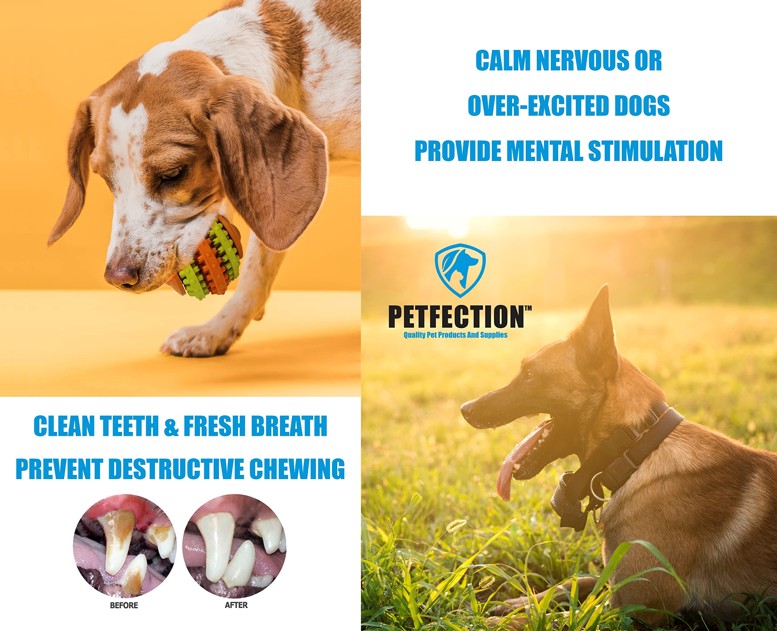PETFECTION Kauspielzeug für Hunde, 3 Stück, Hundespielzeug für aggressive Kauer, große Rassen, multifunktionale Zahnreinigung und Zahnfleischmassage, Robustes Hundespielzeug aus 100% Naturkautschuk