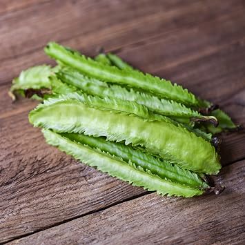 PREMIER SEEDS DIRECT - Asparagus Pea - 150 Finest Seeds