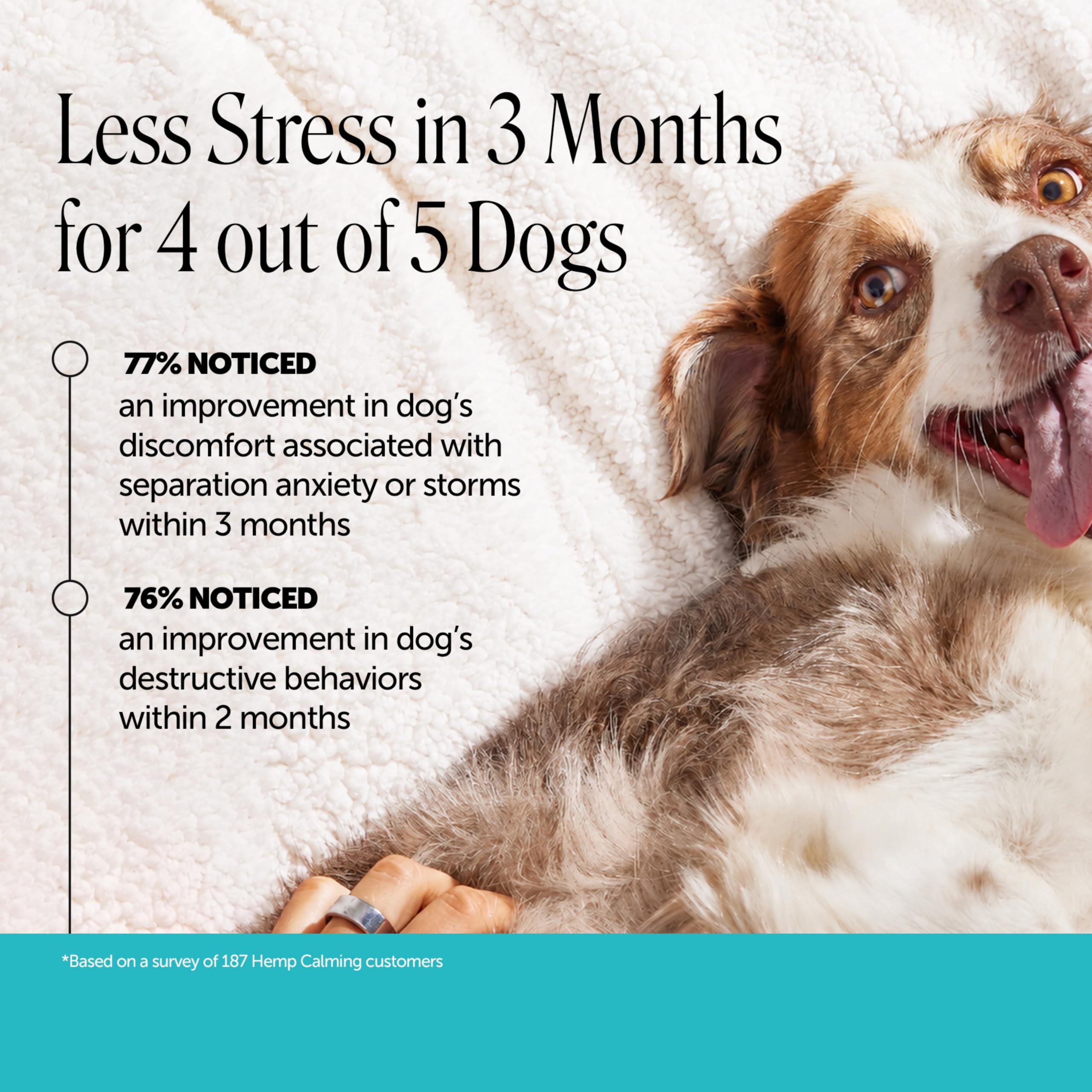 Pet Honesty Cáñamo natural calmante para perros – Alivio de la ansiedad en perros – Calmante con raíz de valeriana, manzanilla + magnesio – Estrés, separación y ayuda a los truenos