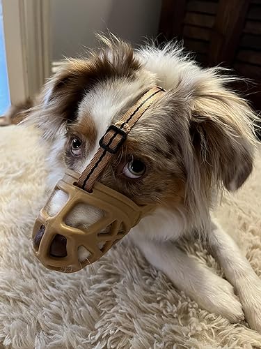 Vista 48 de Bozal para perro, bozal impreso para perros pequeños, medianos y grandes, perro salchicha, beagle, pastor alemán, bozales transpirables