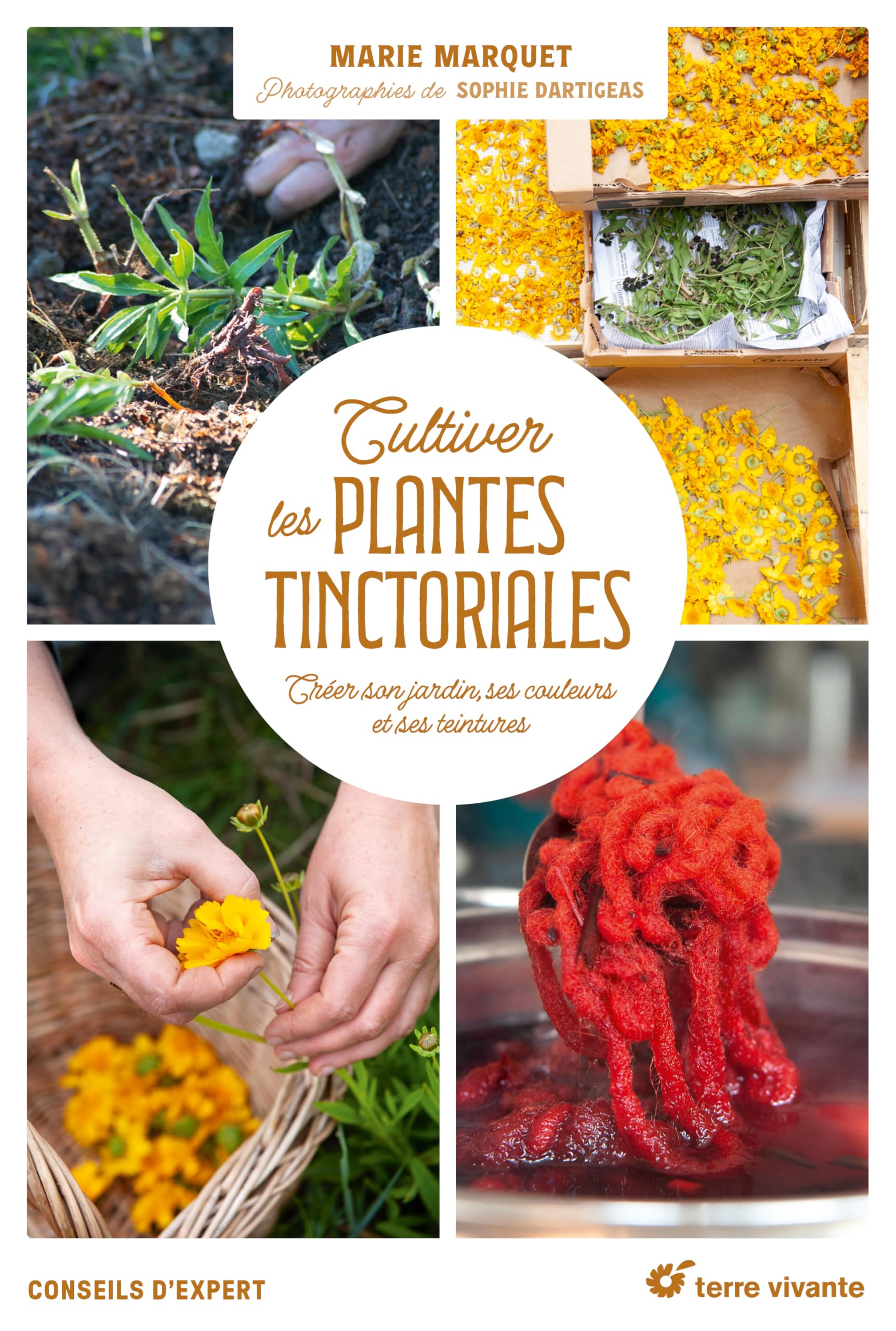 Cultiver les plantes tinctoriales: Créer son jardin, ses couleurs et ses teintures