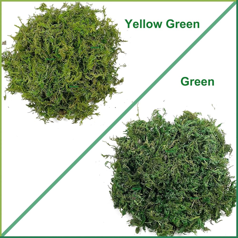 Amazon.com: Artificial Dried Forest Moss Fake Moss Preserved Green