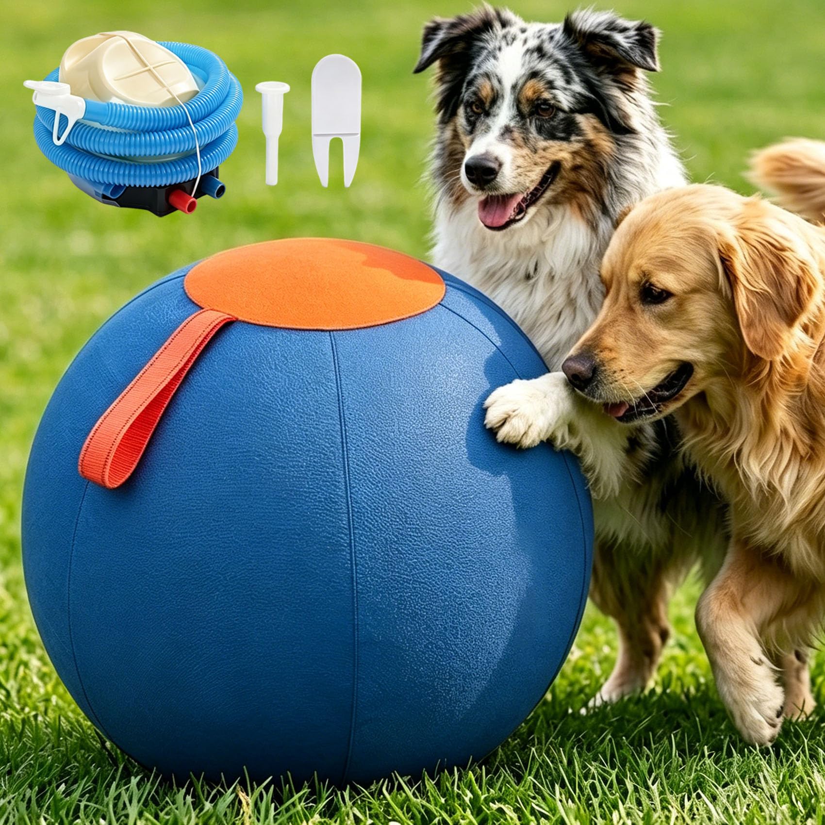 Aemmbon Valkyrie Herding Ball, Specially Designed for Energetic Dogs (22in)