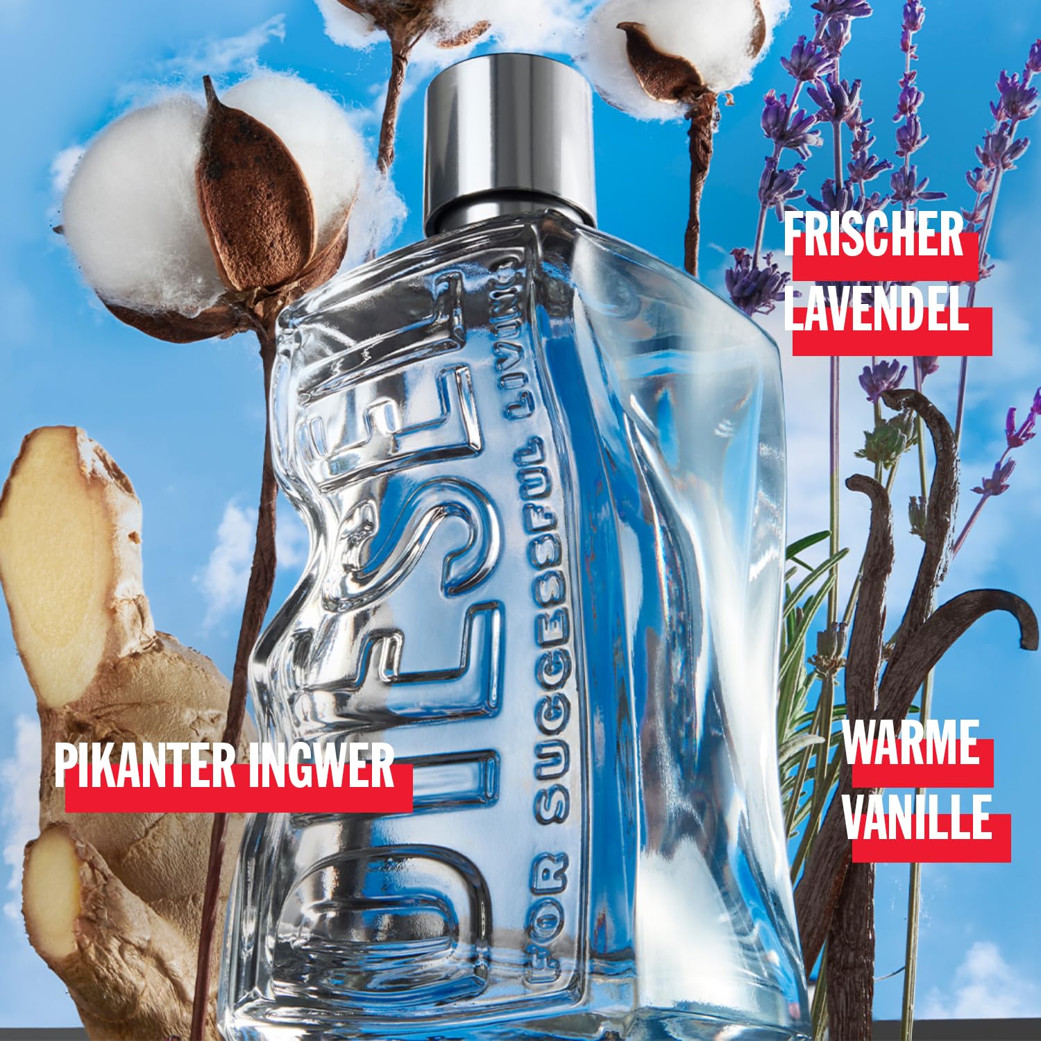D by Diesel Eau de Toilette 30ml Duschgel 75ml 2-teilig Set Unisex
