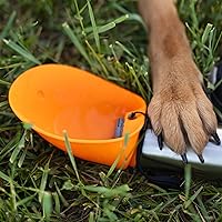 Vista 4 de Messy Mutts Botella de agua de viaje de acero inoxidable con aislamiento al vacío de doble pared con cuenco abatible de silicona, necesidad de viaje