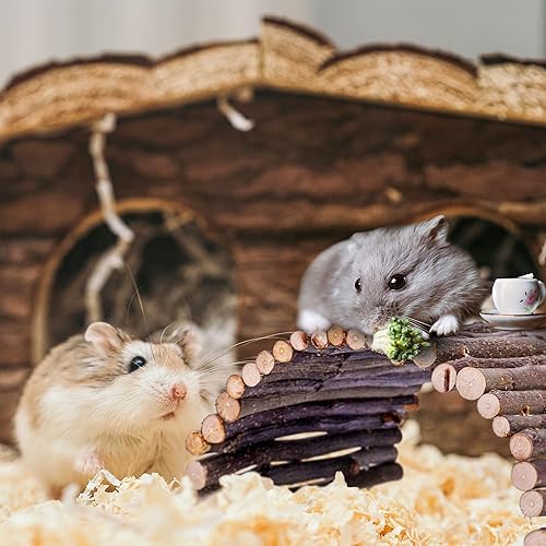 Vista 6 de Juguetes de escalada y escondite de cangrejo ermitaño, decoración de escalada de reptiles de gran tamaño para hábitat de cangrejo ermitaño pequeño