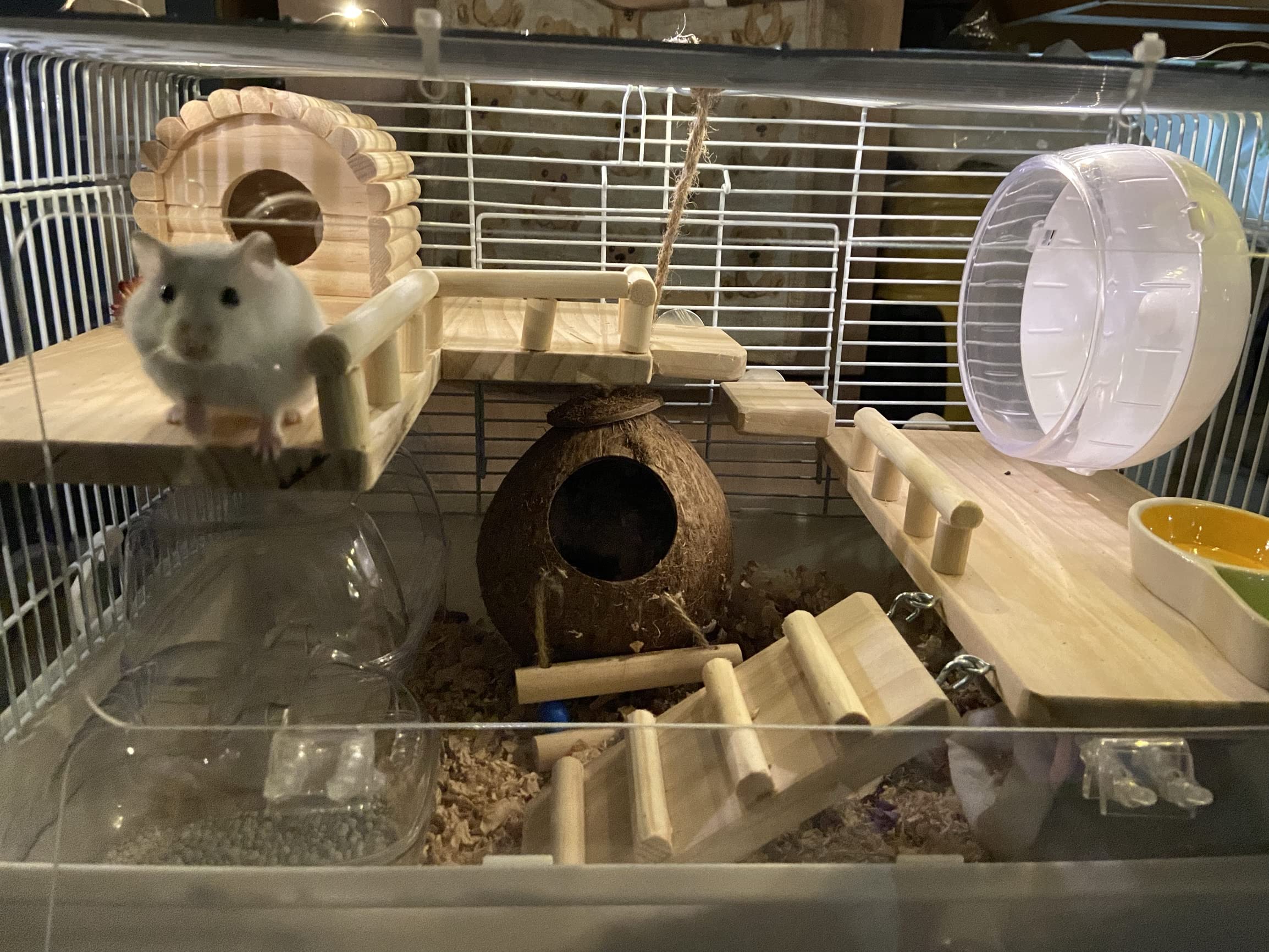 Plataforma de hámster de madera con escalera, parque infantil para hámster, juguetes para jaulas de percas para pájaros, hámster rata de indias y cerdo de chinchilla accesorios