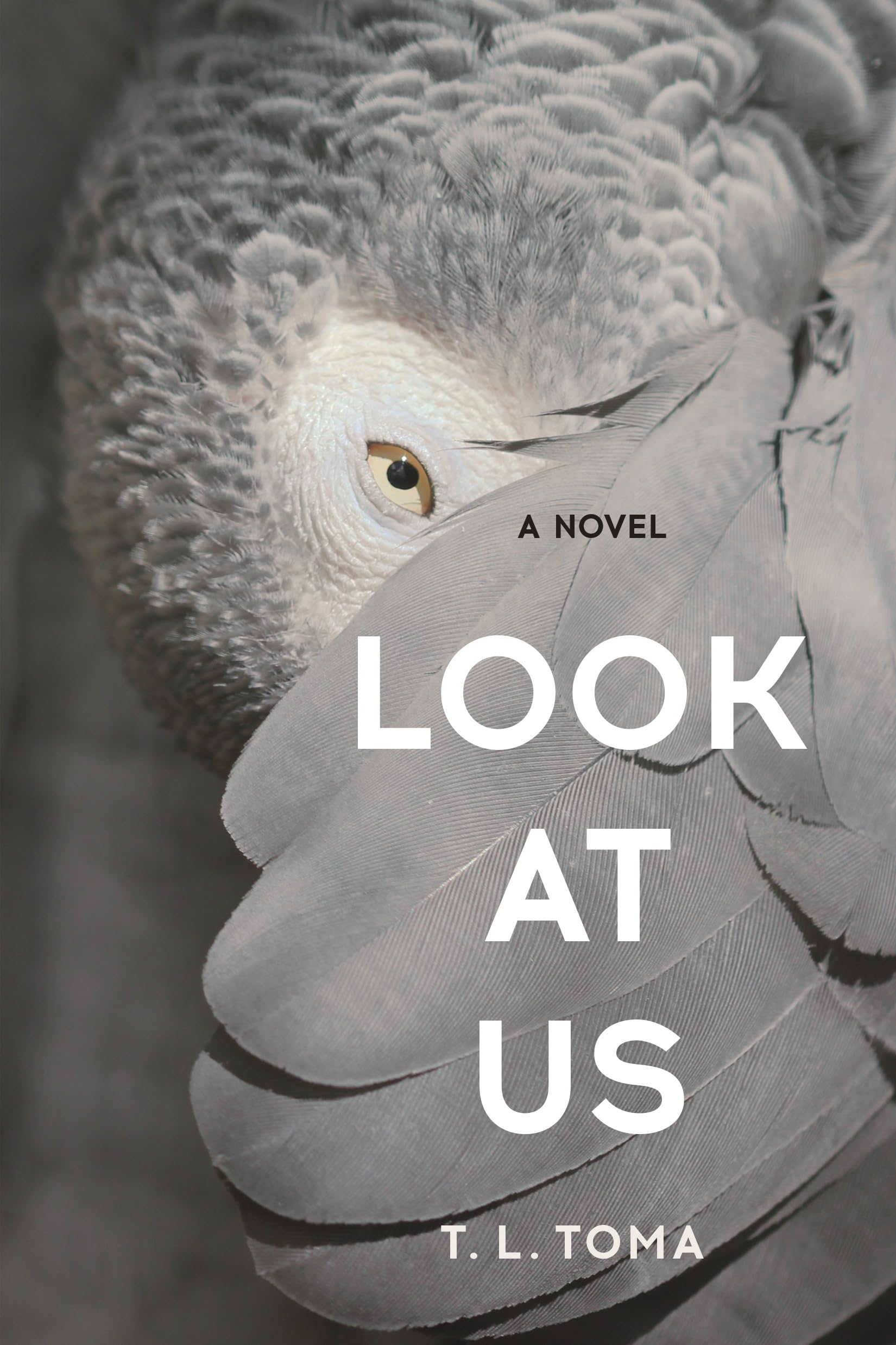 Buy Look at Us — BookShops.in