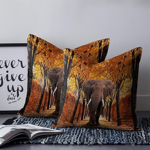 Miniatura 9 de Juego de 2 fundas de almohada de 24 x 24 pulgadas, fundas de almohada decorativas para sofá, estilo retro, diseño de elefante de pie en el muelle,