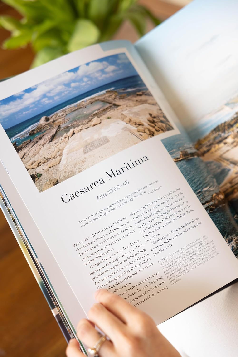 Israel: Beauty, Light, and Luxury (A Vibrant, Full-Color Coffee Table Book with 350 Photos of the Holy Land's Features, Flora, & People. Also Includes 31 Bible Devotionals) 11 Israel: Beauty, Light, and Luxury (A Vibrant, Full-Color Coffee Table Book with 350 Photos of the Holy Land's Features, Flora, & People. Also Includes 31 Bible Devotionals)