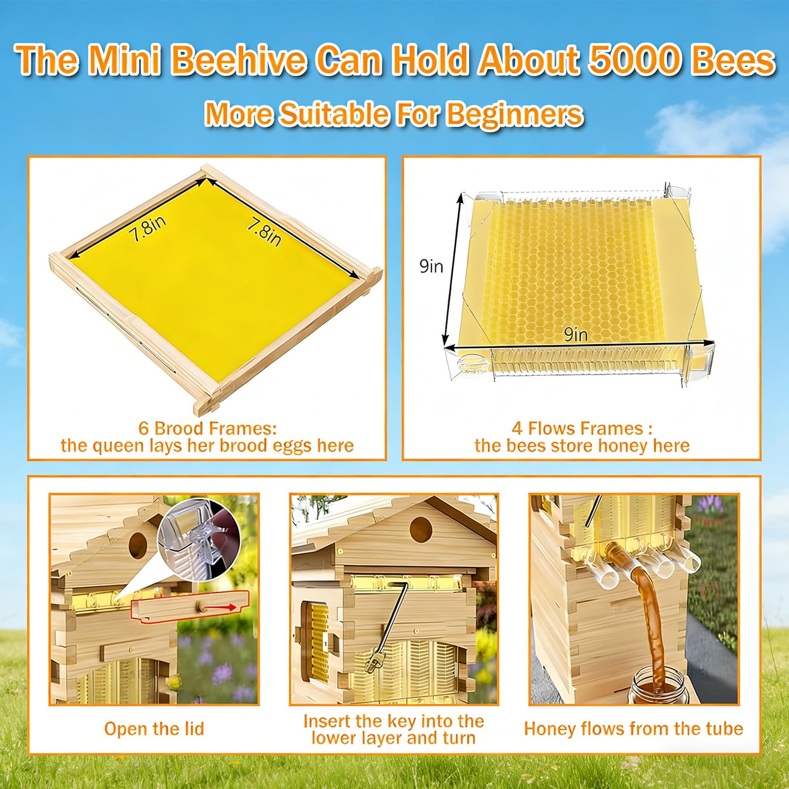 Kit de Apicultura para Principiantes, Colmena Flow Hive, Juego Completo de Colmena Encerada con Extractor de Miel. 4free-flowinghoneycombcombs