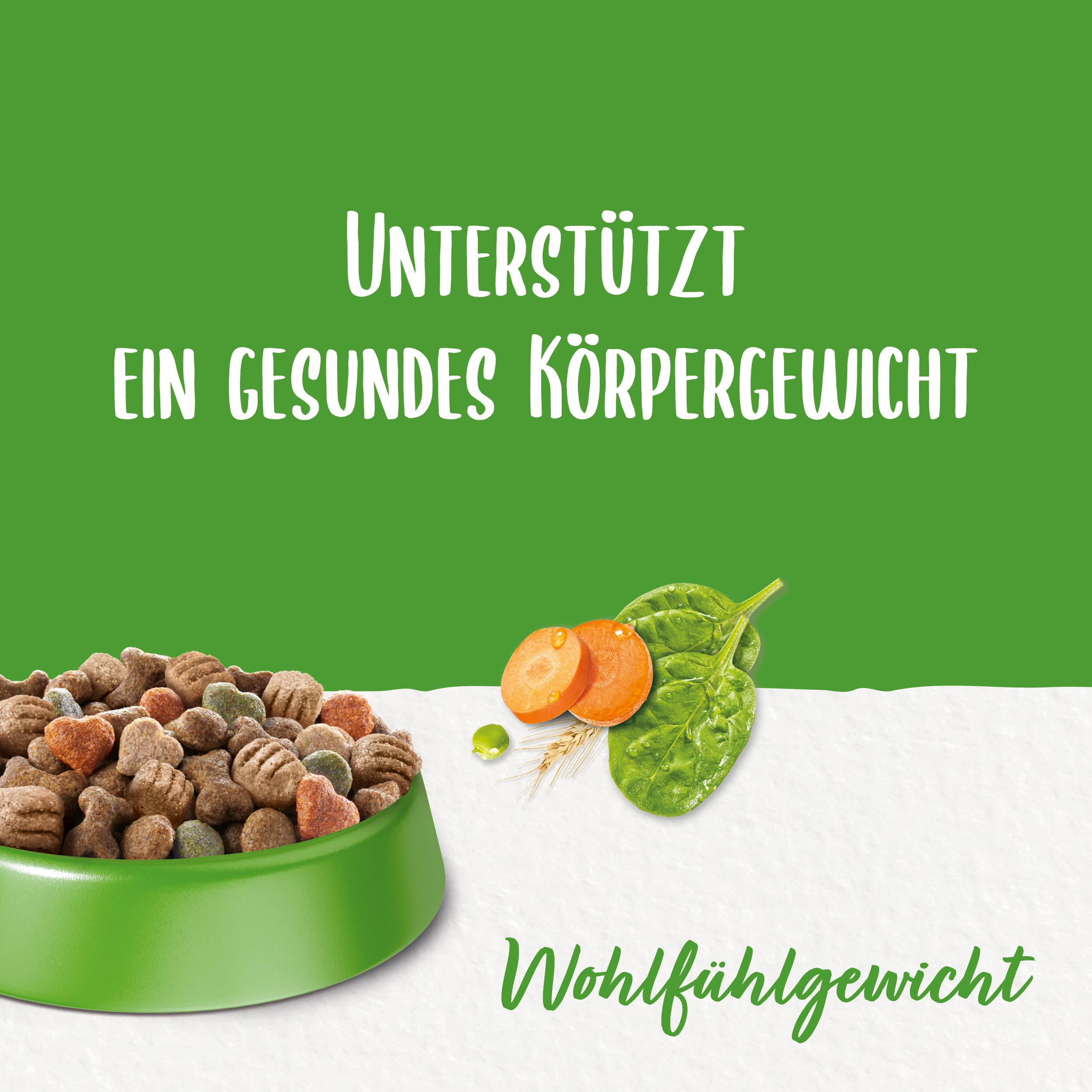 Beneful Nourriture sèche pour Chien - avec Poulet et légumes du Jardin - 1 Paquet (1 x 12 kg)