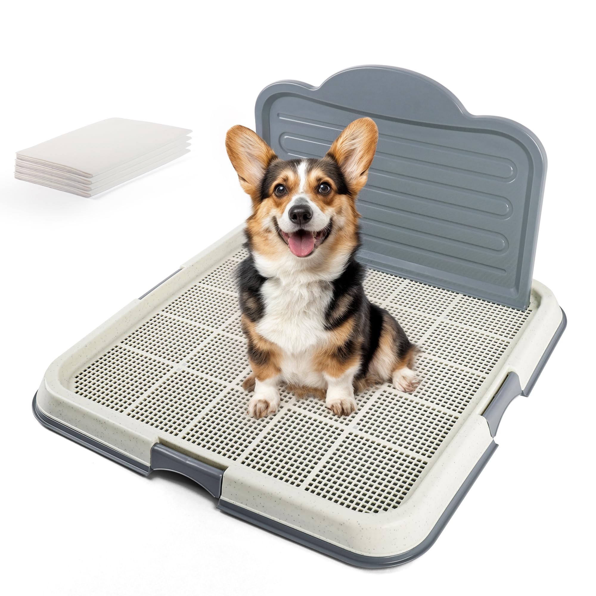 How to Train a Dog to Use a Pee Pad: Simple Steps That Work