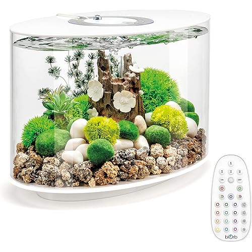 biOrb Loop 15 Acrylic 4-Gallon Aquarium with Multi-Color Remote-Controlled LED Lights Modern Compact Tank for Tabletop or Desktop Display, White-Trimmed Tank