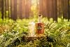 The Woodsman Blended Scotch Whisky 70cl | Enjoy a Well Earned Woodsman Whisky | The Woodsman Scotch Whisky 40% vol
