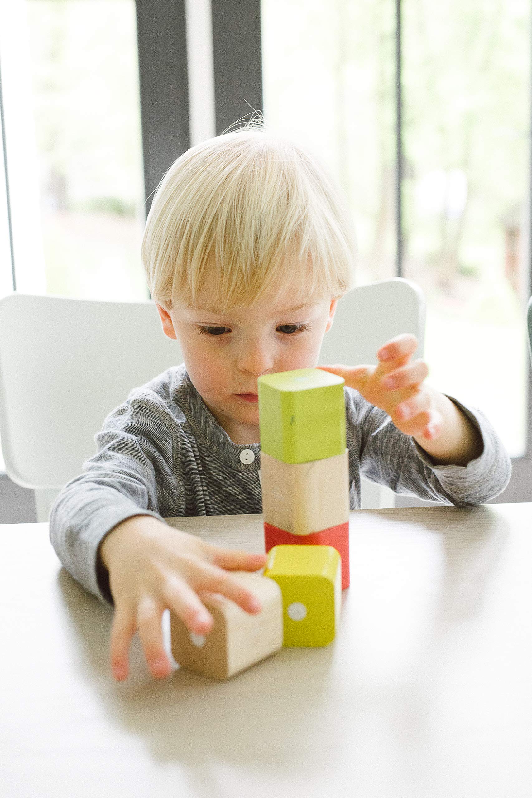 tegu baby's first blocks