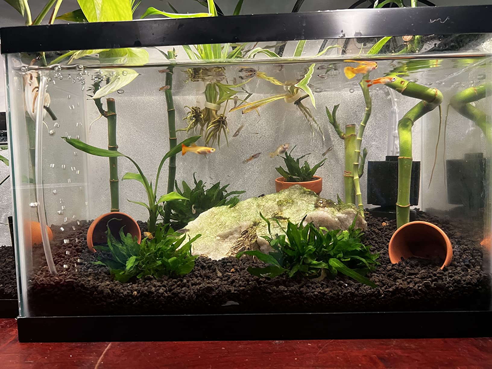 Customer Image