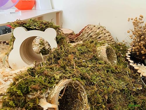 Miniatura 7 de Musgo verde para plantas en maceta, musgo de bosque seco, musgo decorativo para manualidades, mezcla de tierra de orquídeas, mezcla de esfagno,