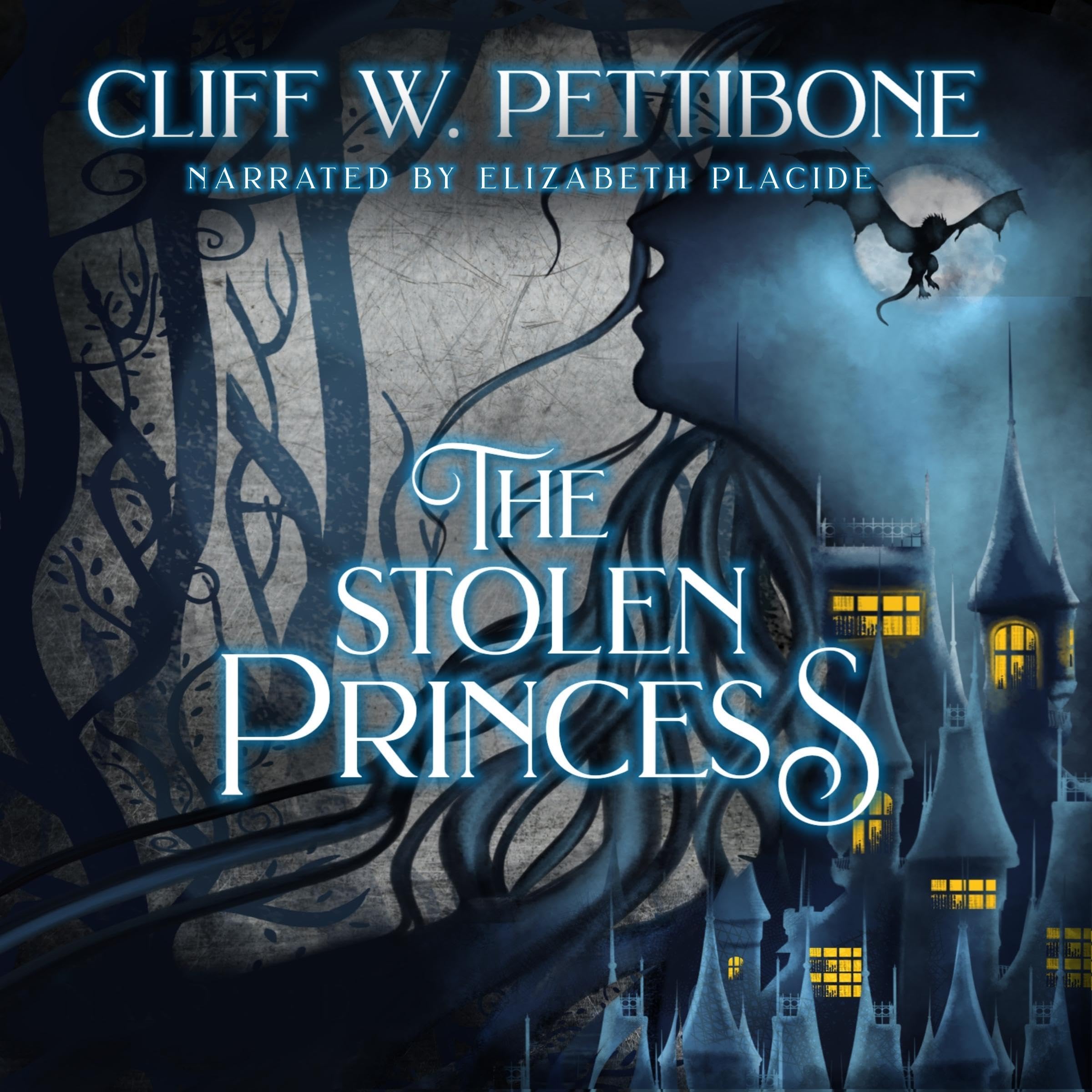 Cover art for The Stolen Princess