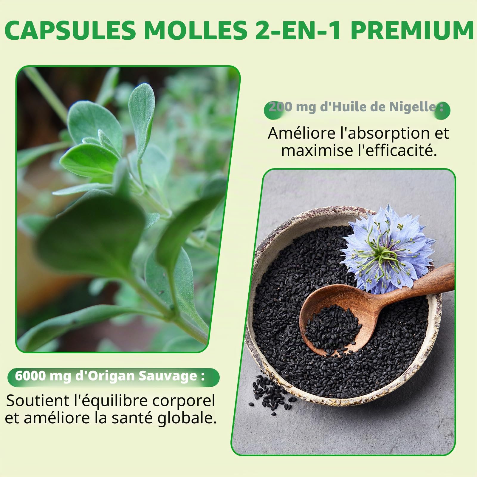 Oil of Oregano, Huile d Origan et Nigelle, Huile d'origan 2 en 1 (6000 mg) avec Huile de Nigelle (200 mg),Carvacrol (165 mg),Biologique, Sans OGM,Favorise la Santé Immunitaire et Digestive,240 Gélules