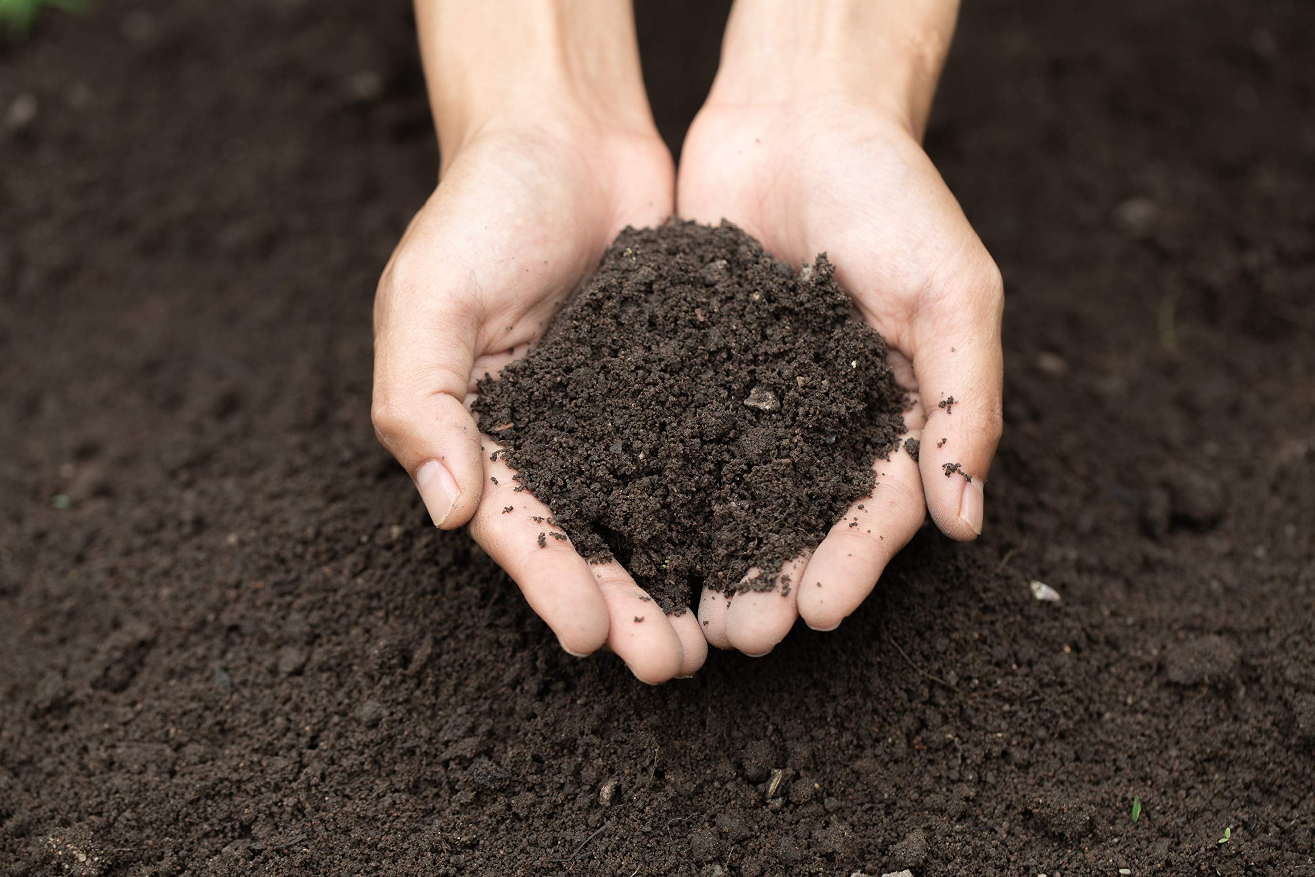 2520L Aussaaterde/Universalerde mit Langzeitdünger und einem Anteil Perlite für einen lockeren Boden Gartenerde Pflanzenerde 36 Säcke a 70L