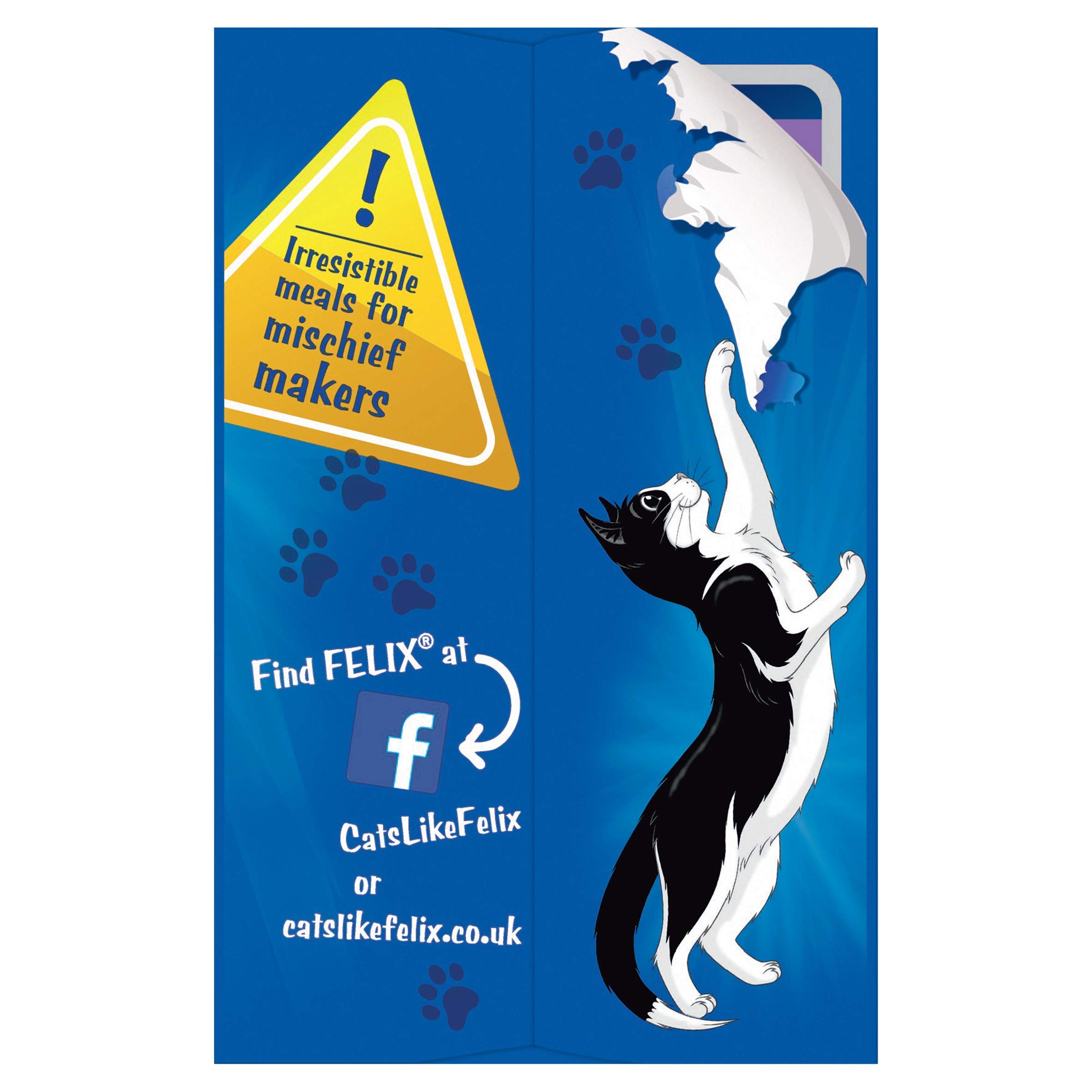 Felix Lot de 4 croquettes pour Chatons 12 x 100 g