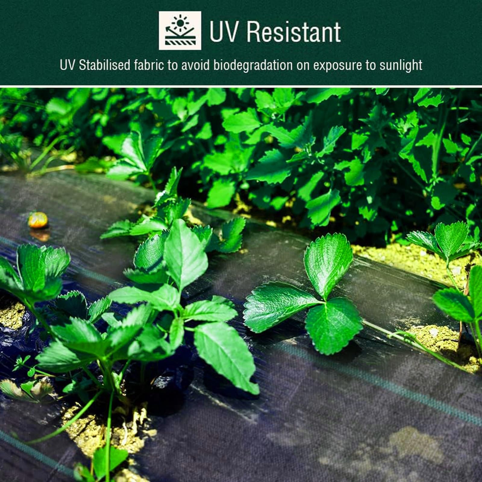Malla Antihierba Estabilizada contra UV, contra Las Malas Hierbas Barreras contra Malezas Ultra Resistente, Varios Tamaños, Premium para Control De Maleza, Jardín E Invernadero(4x20m)