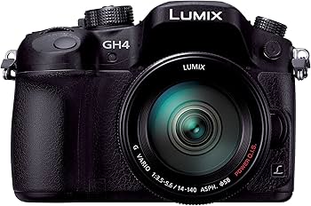 Panasonic G3 ミラーレスカメラ レンズキット LUMIX Gシリーズ パナソニック ミラーレス Panasonic DMC-G3