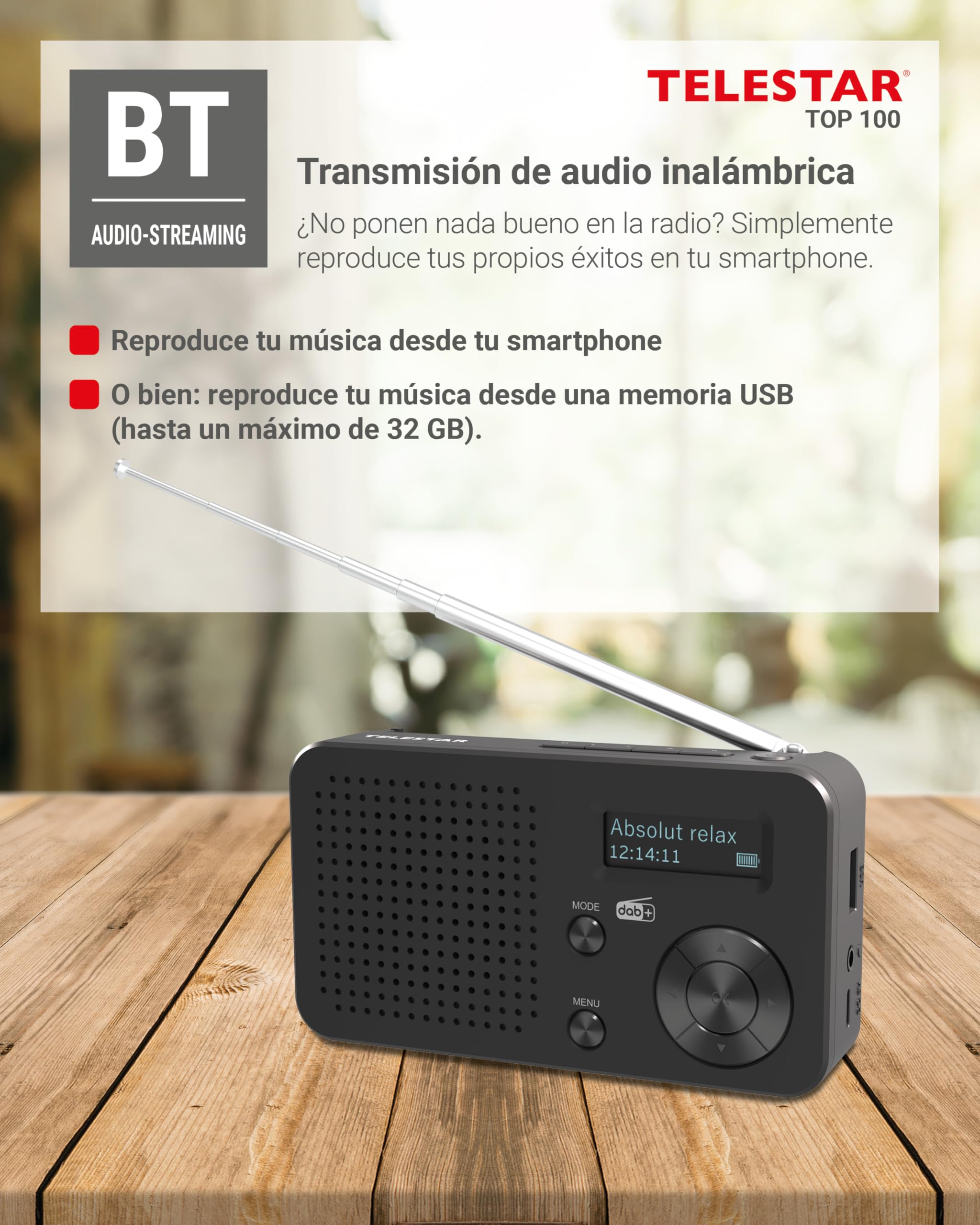 TELESTAR Top 100 – Radio portátil Dab+/FM con batería Recargable – Negro | Batería intercambiable, hasta 15 h de reproducción, carga rápida, audio Bluetooth y reproductor USB