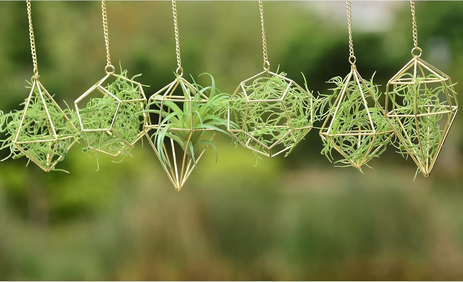 Gold Hanging Air Plants Holders Small Tillandsia Airplants Hangers 6 Pack Geometric Wire Himmeli Air Fern Display Planter with Chains Airferns Metal Hanging Holders