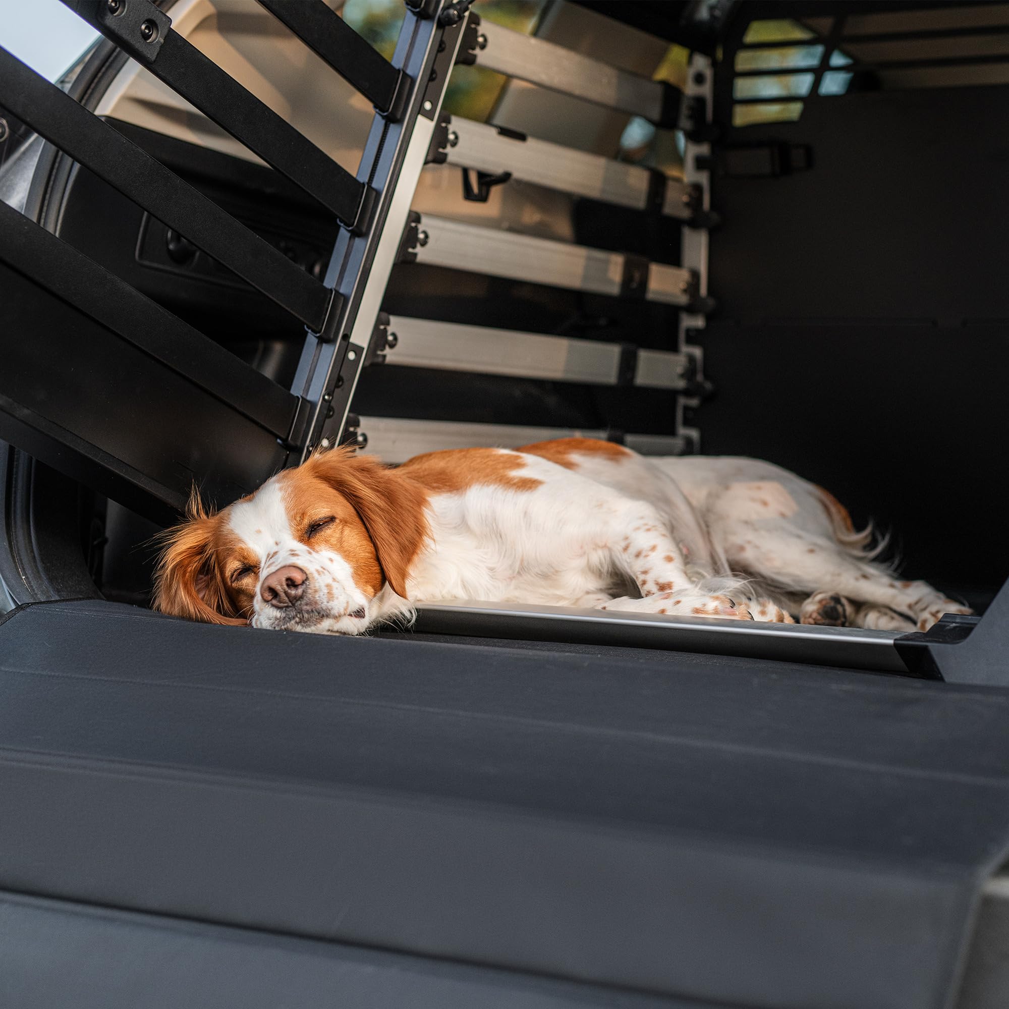 Thule Dog Crate Mat Tapis pour Cage De Transport Chien Black, Wide