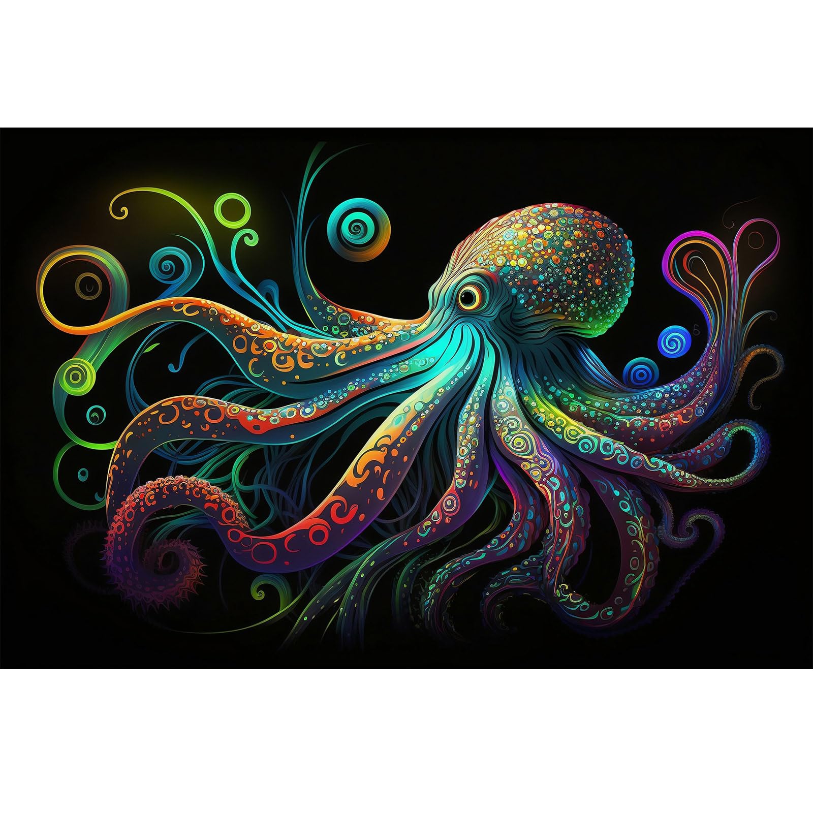 Octopus Aquarium Background Exquisite Colorful Octopus Terrarium Background Glowing Octopus on Black Background Fish Tank Backdrop Octopus Backdrops