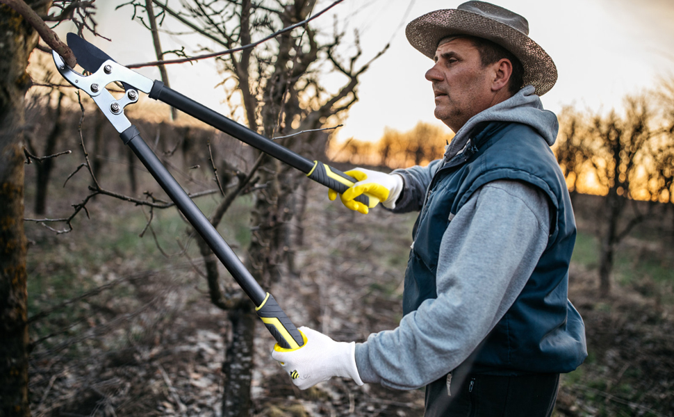 Sécateur De Jardin BENGRIN - Lames Acier Tranchantes - Prise Ergonomique - Pour Taille Et élagage