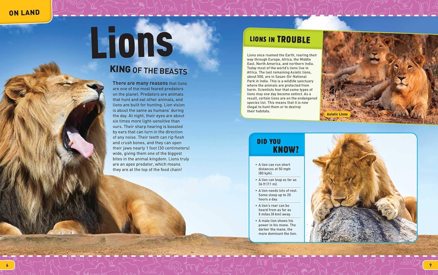 Discovery: Insider's Encyclopedia: Animals      Hardcover – June 29, 2021
