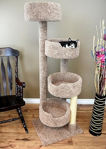 New Cat Condos 190209-Árbol de gato marrón, marrón