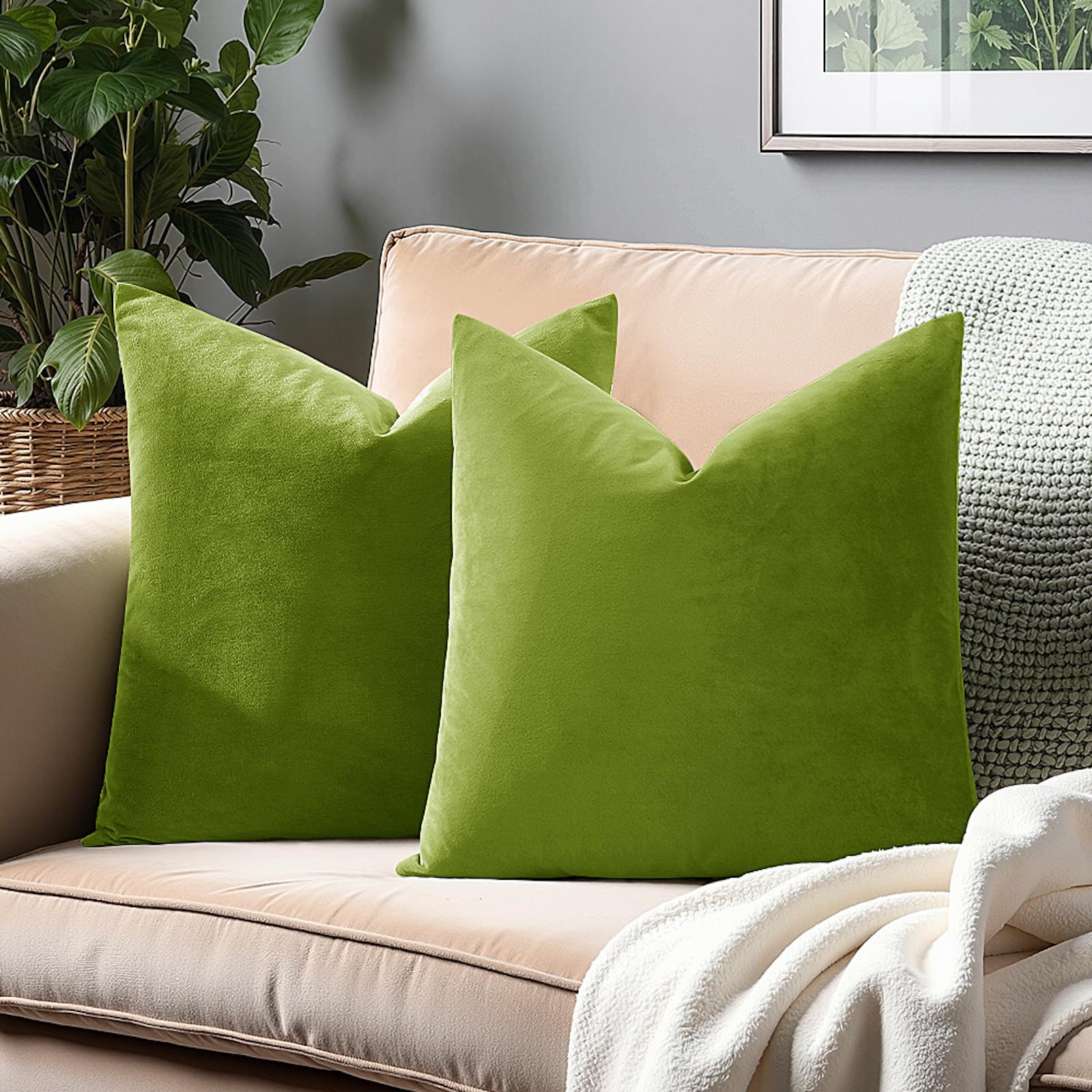 24x24 Velvet Pillow Covers Set of 2 Grass Green Decorative Square Throw Pillowcase Soft Solid Cushion Covers for