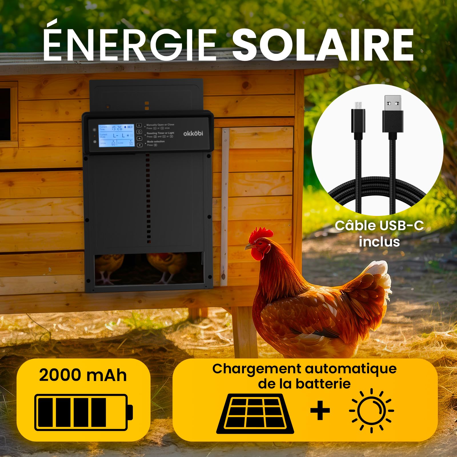 Okkobi Porte Automatique Poulailler Solaire - Ecran LCD - Télécommande, capteur de lumière et minuterie - Sécurité et tranquillité d'esprit : Fonction Anti-pincement - Protection 5 Ans - Noir