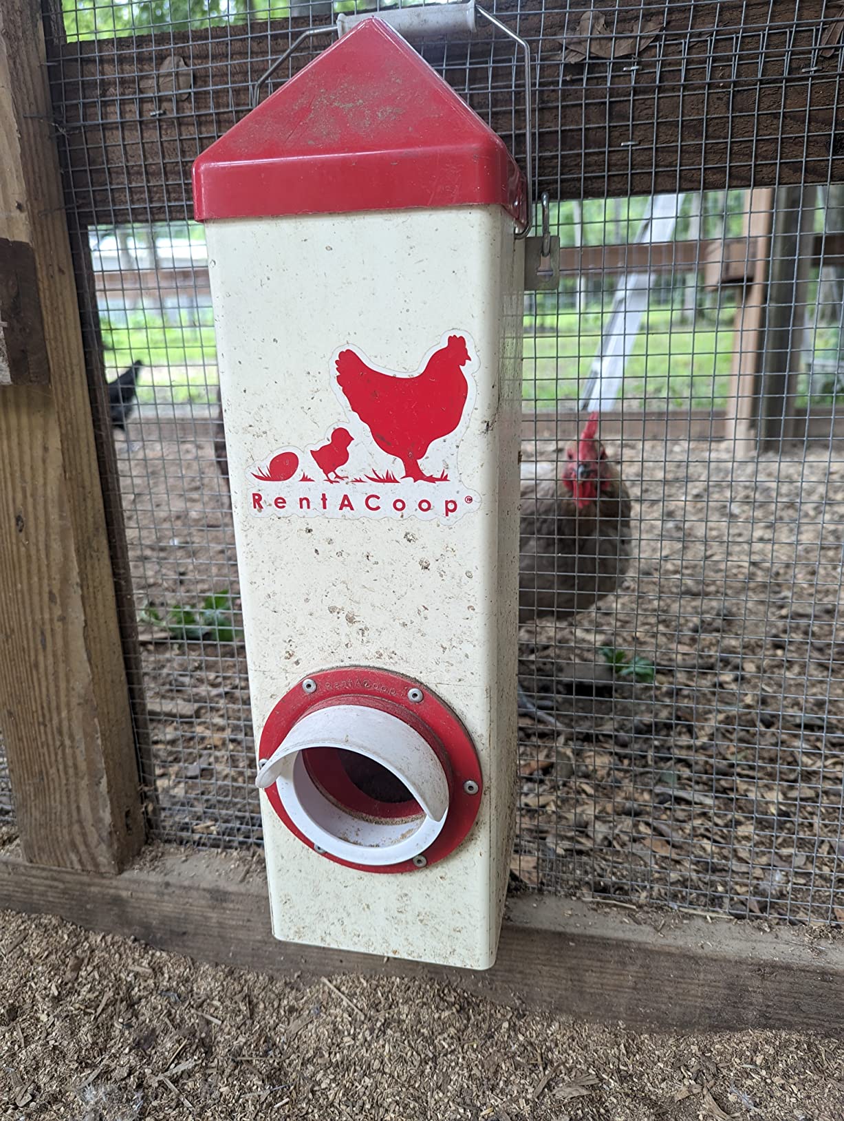 BPA-Free Single-Port Chicken Feeder | RentACoop