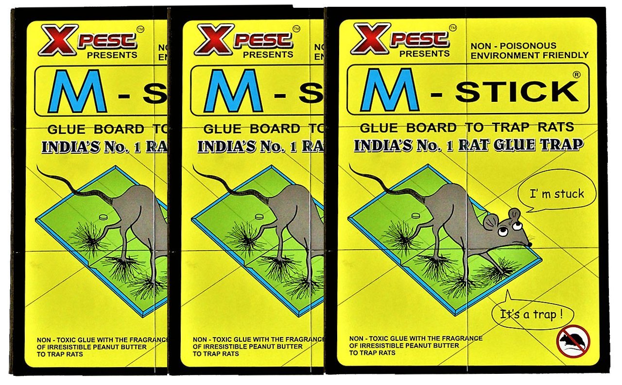 Buy M Stick India's No.1 Glue Board to Trap Rats with Peanut Butter ...
