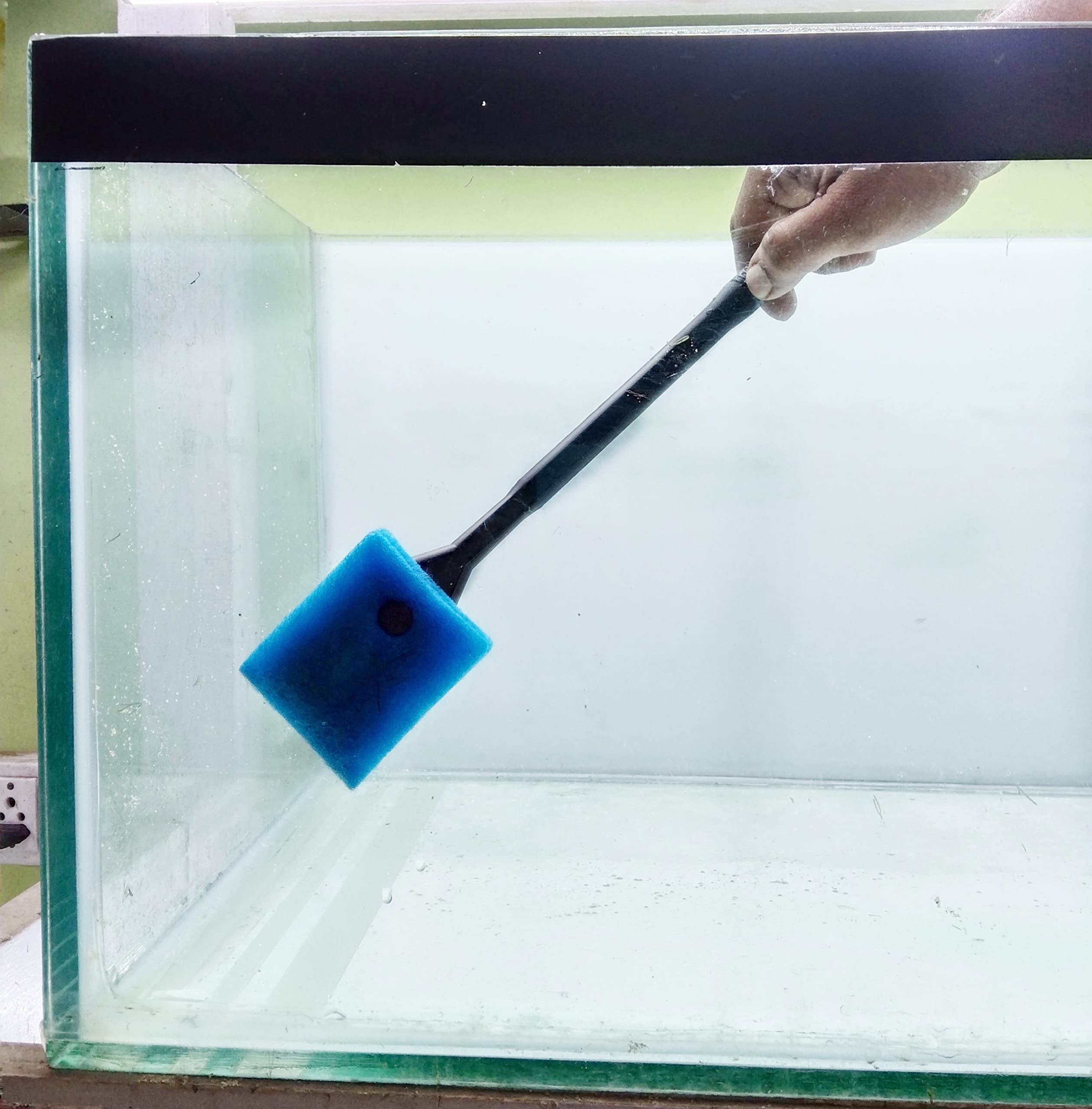 SANSEFERO® Fish Tank Aquarium Alagea Remover/Scrapper/Sponge/Cleaner Blue Brush (B0BHKJQLFM) Amazon Price History, Amazon Price Tracker