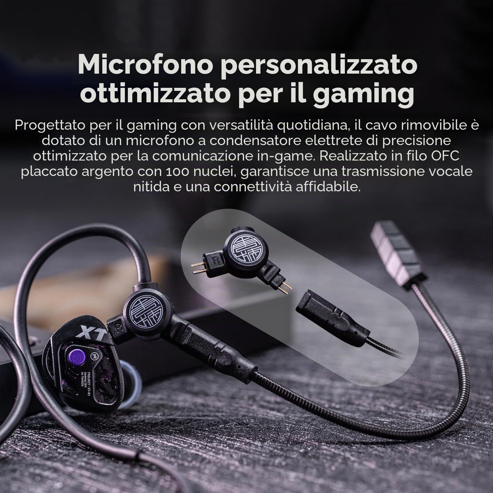 Linsoul TANGZU Xue Tao Gaming IEM, Cuffie HiFi e Microfono Rimovibile, In Ear Monitor con Driver Dinamico a Diaframma in Vetro da 10mm, con Cavo OFC Rimovibile a 2Pin per Gamer Audiophile (3.5mm MIC)