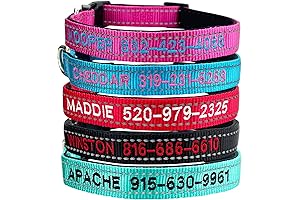 Personalized Reflective Dog Collar with Embroidered Name and Contact