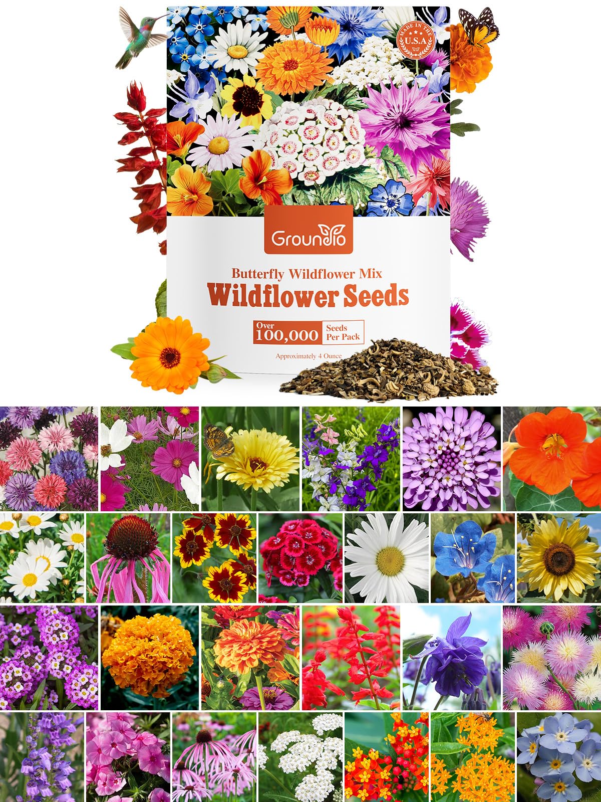 Groundio Wildflower Seeds Bulk
