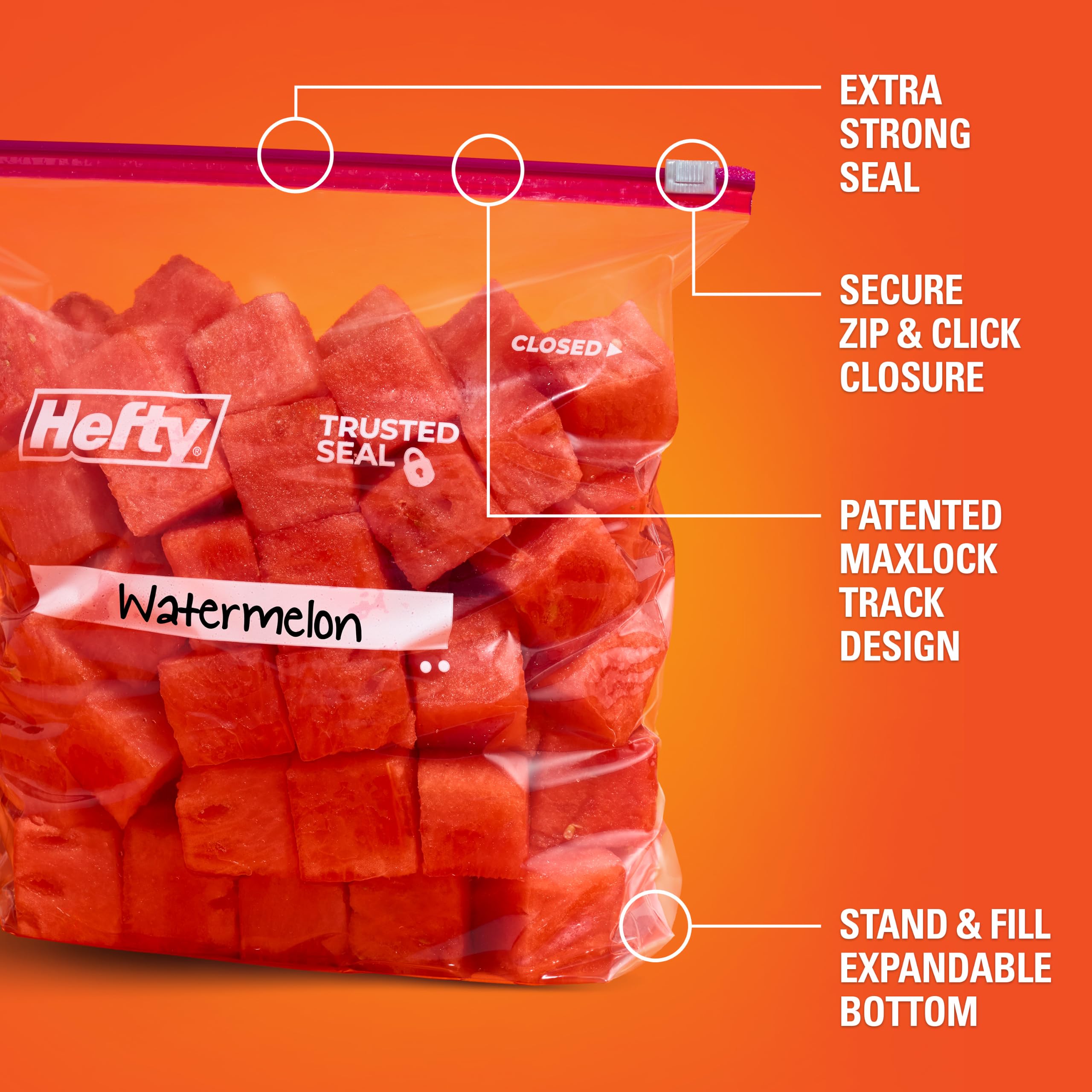 Hefty Lot de 66 sacs de rangement avec glissière - 3,78 L