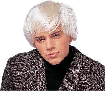 Costume Culture Mens Artist Wig