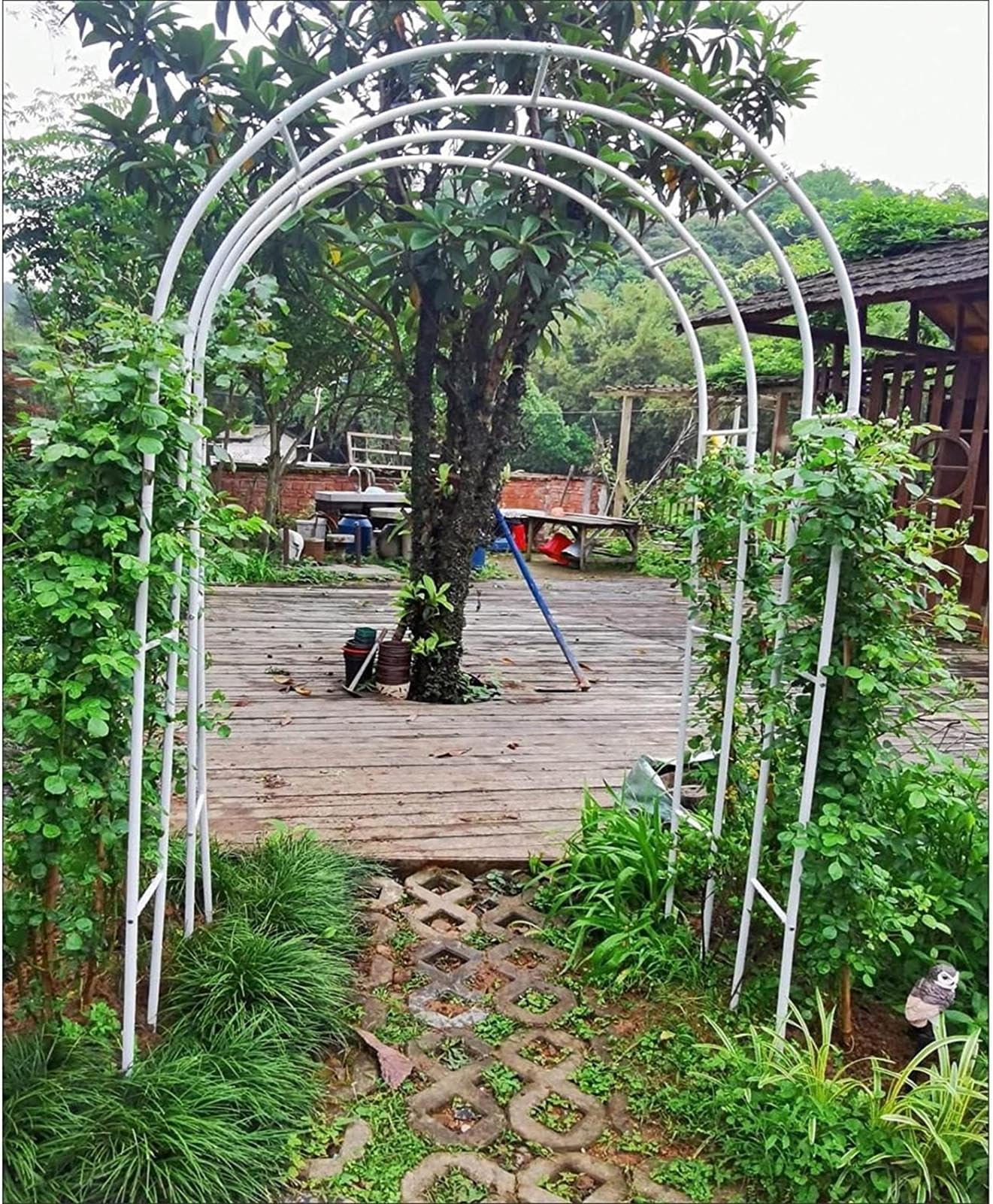 Arche de jardin en acier noir ou blanc pour plantes grimpantes et pergola