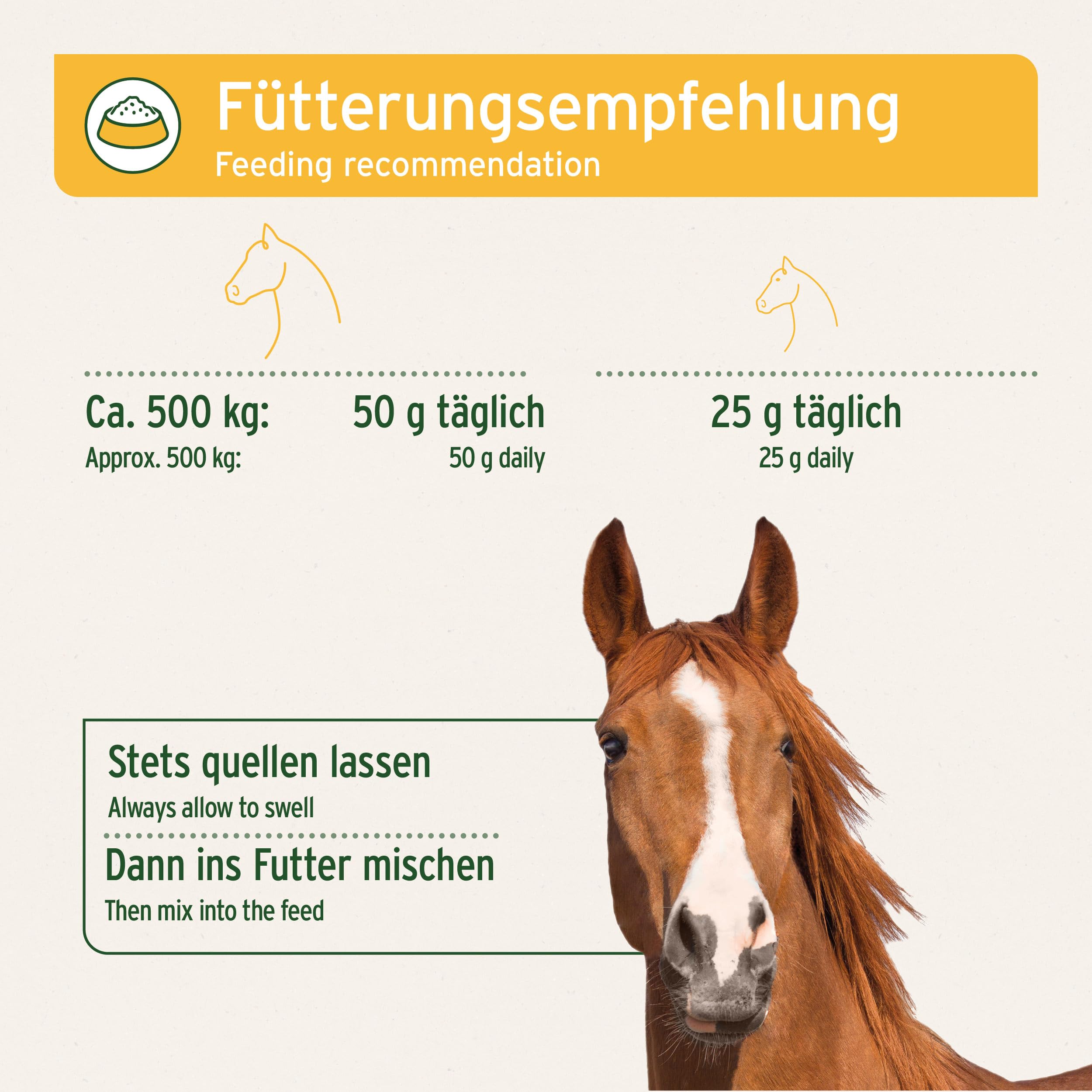 AniForte Flohsamen Pferd 3kg – Indische Flohsamenschalen & Psyllium bei Kotwasser, Sandkoliken & Verstopfung, für Darmreinigung & Verdauung, optimiert Kotbeschaffenheit, Rohkost-Qualität