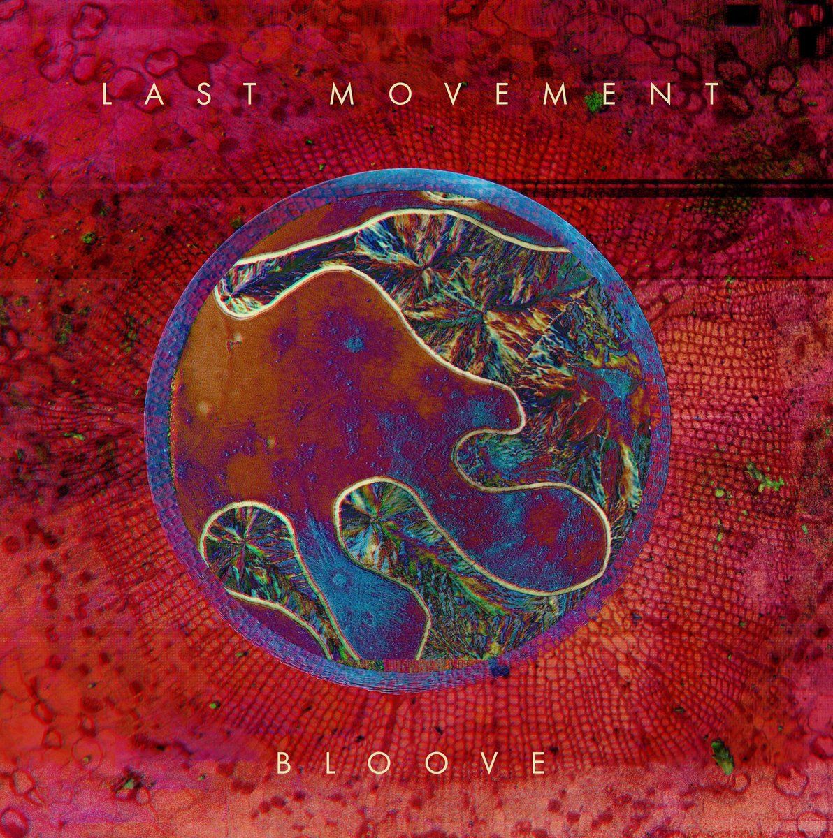 Last Movement - Bloove - Amazon.com Music