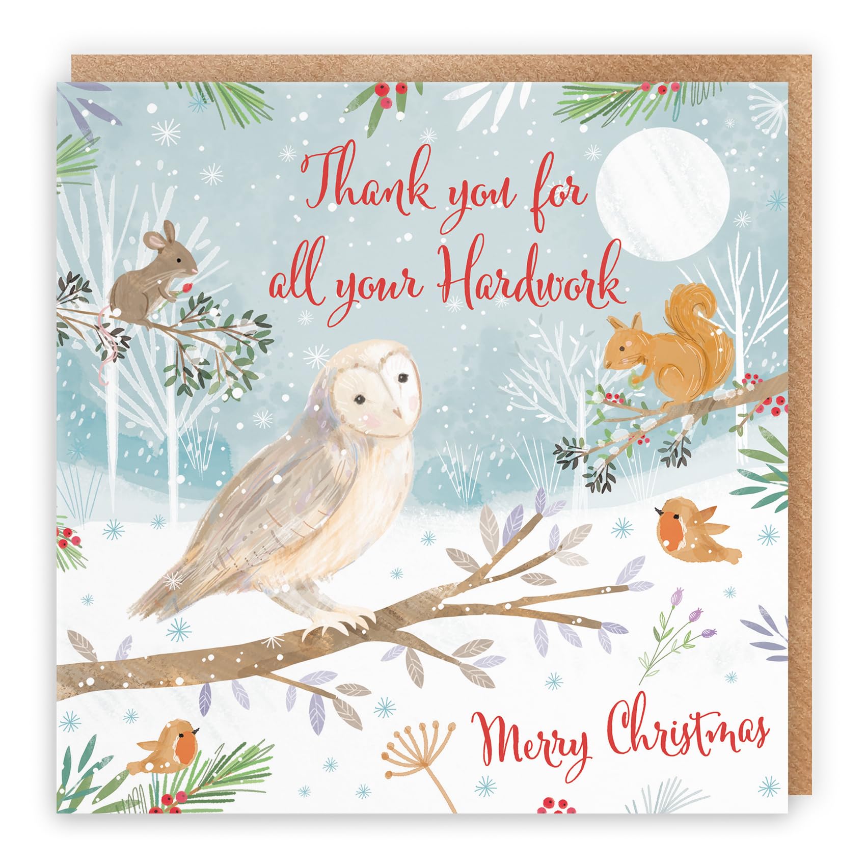 Hunts England, Thank You For All Your Hardwork Cute Owl Christmas Card, Nature's Treasures